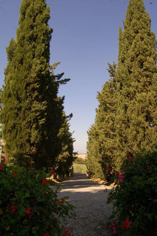 Agriturismo San Francesco Amalia And Anna Orciatico Buitenkant foto