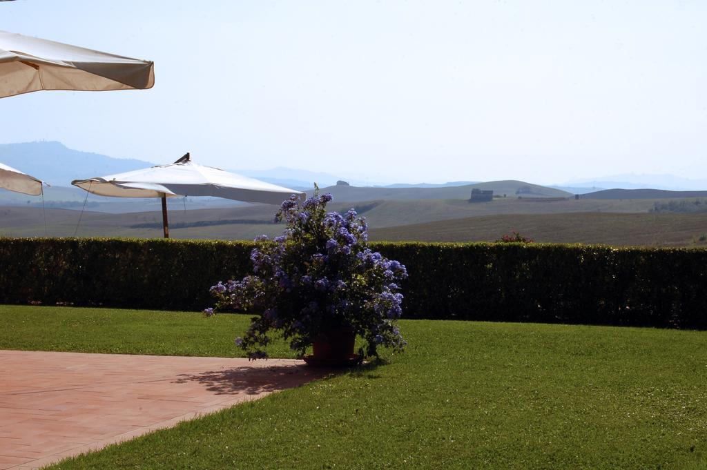 Agriturismo San Francesco Amalia And Anna Orciatico Buitenkant foto