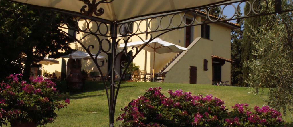Agriturismo San Francesco Amalia And Anna Orciatico Buitenkant foto